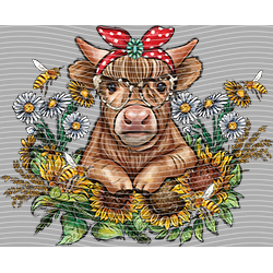 Cow-NIU 2529